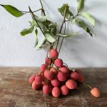 Inventaire Complet : Fruits et Épices du Verger des Caprices