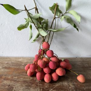 Litchis BIO au kilo – À récupérer directement au verger